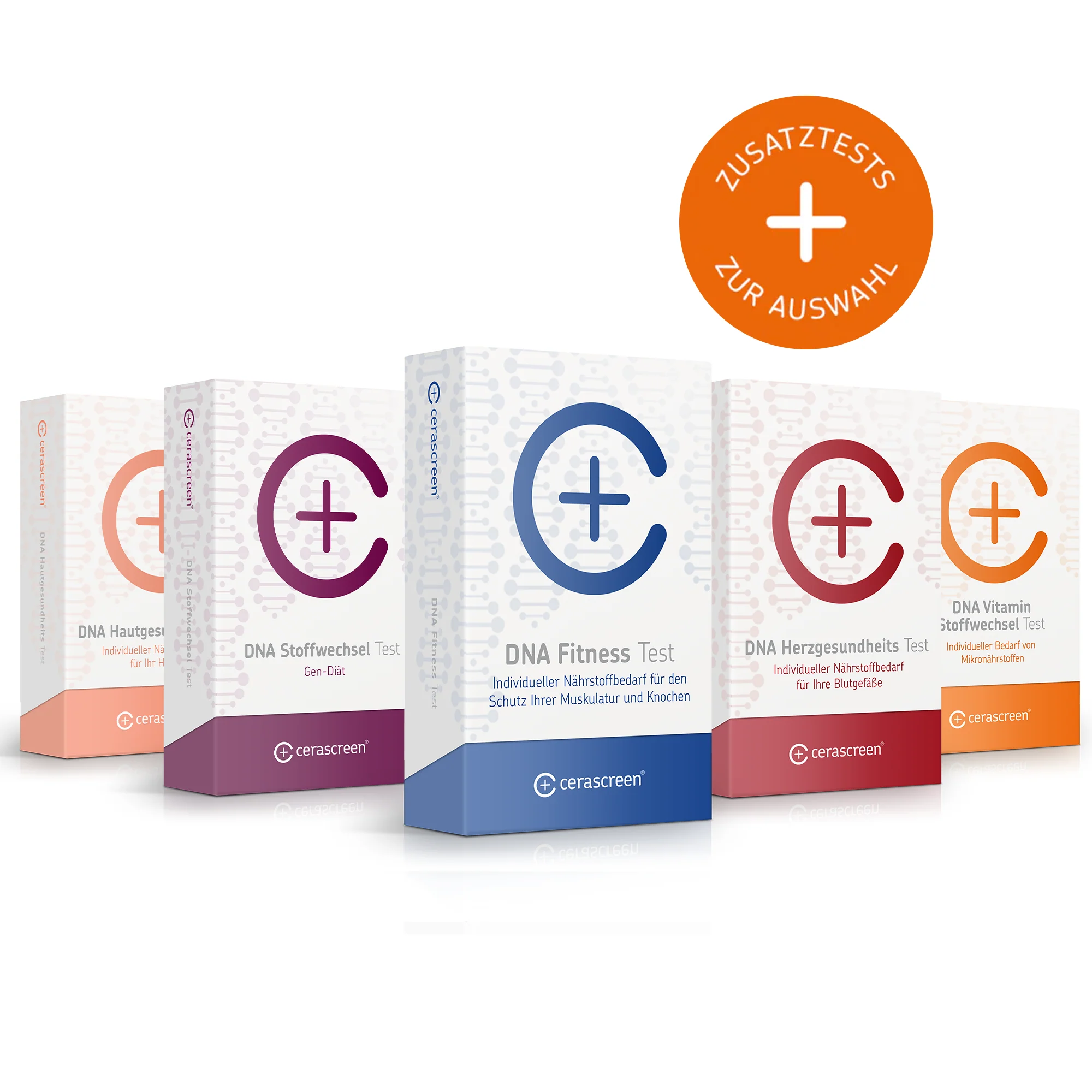 DNA-Test Zusatzpaket - Image 3