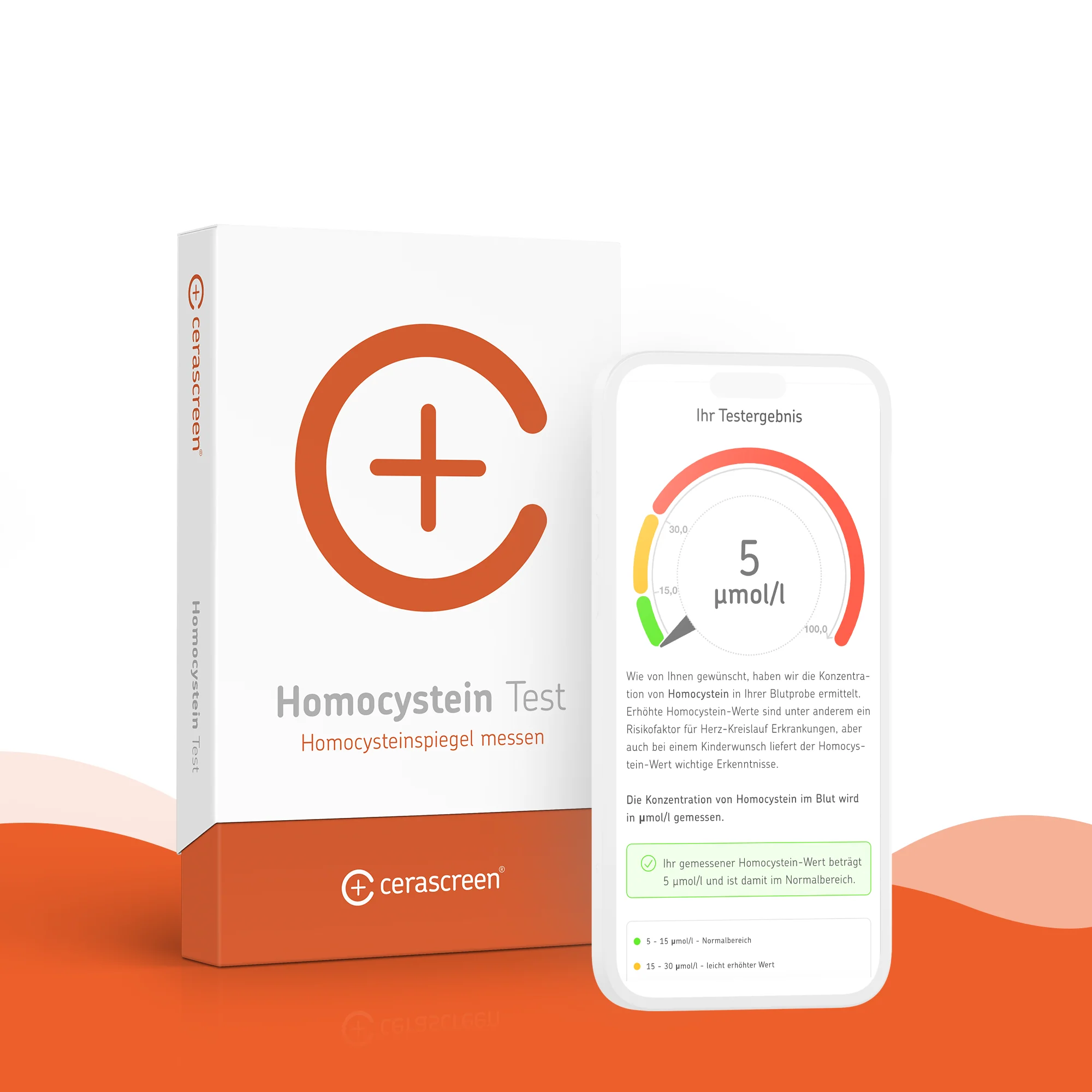 Homocystein Test - Image 3