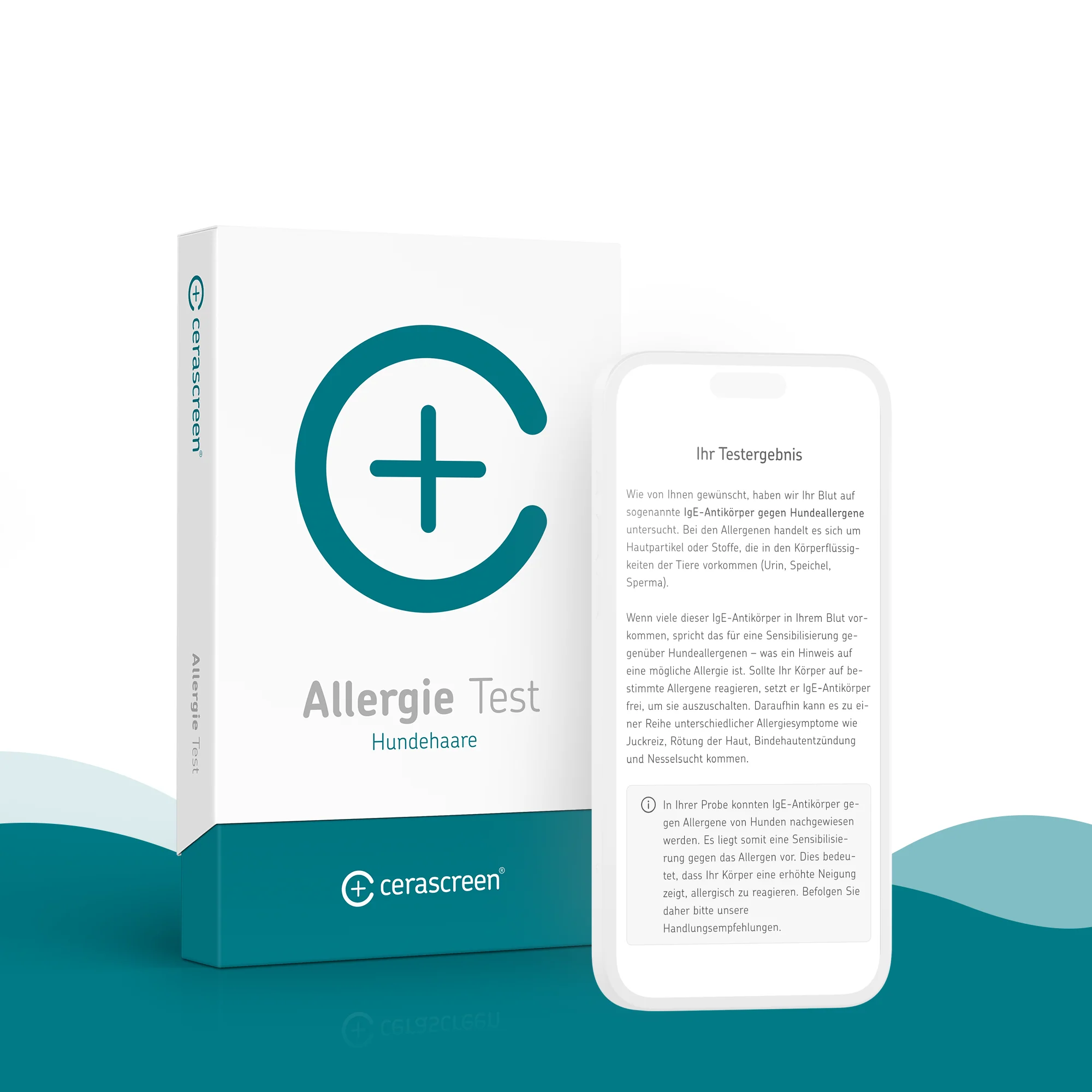 Hundeallergie Test - Image 3