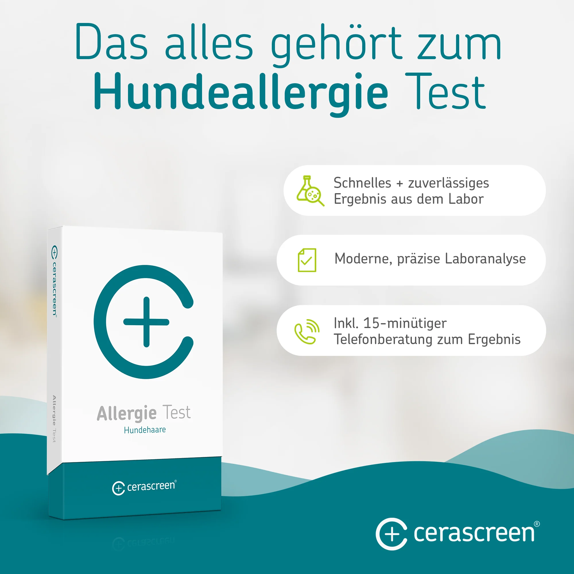 Hundeallergie Test - Image 5