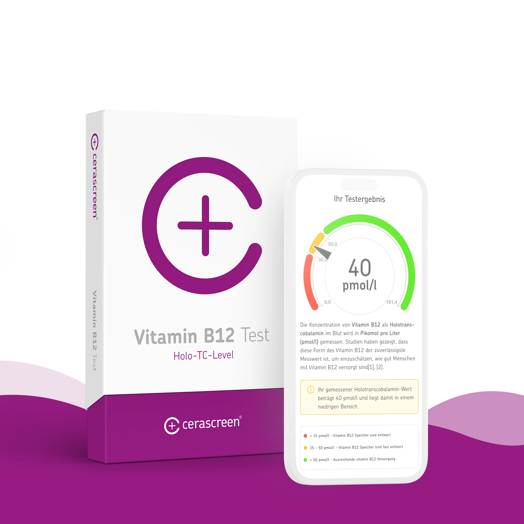 Vitamin B12 Test - Image 3